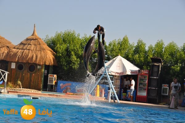 monir re7la sharm 817 (59).JPG